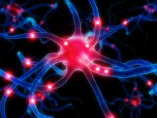 Active Neurone: